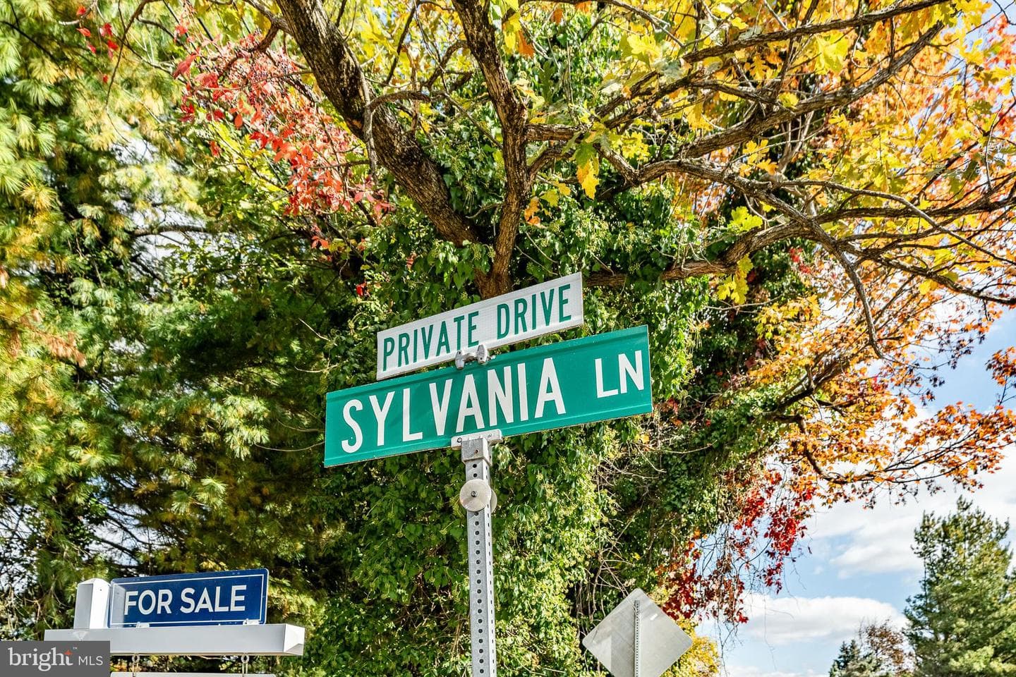 904 Sylvania Lane photo 59