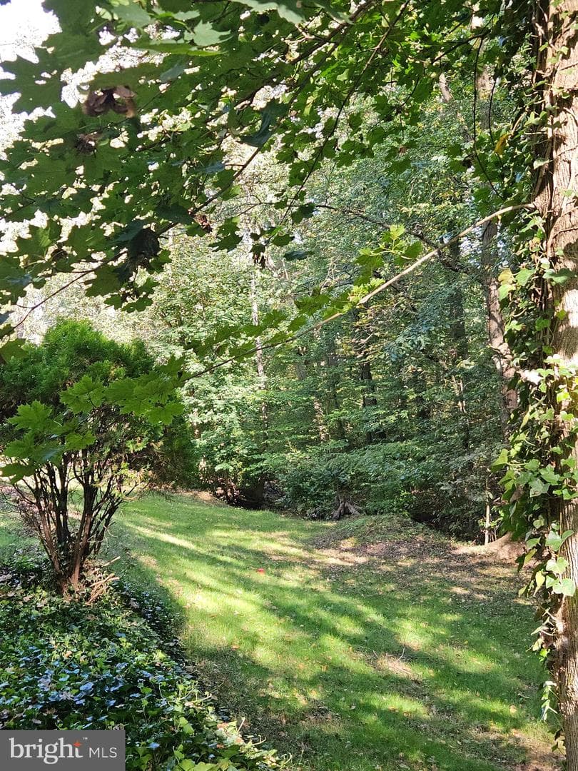 47 Roberts Circle photo 38