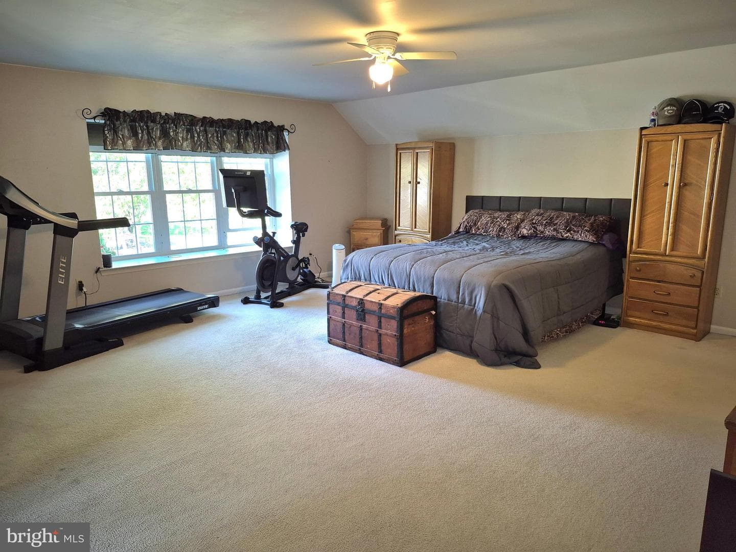 44 Morningmist Lane photo 18