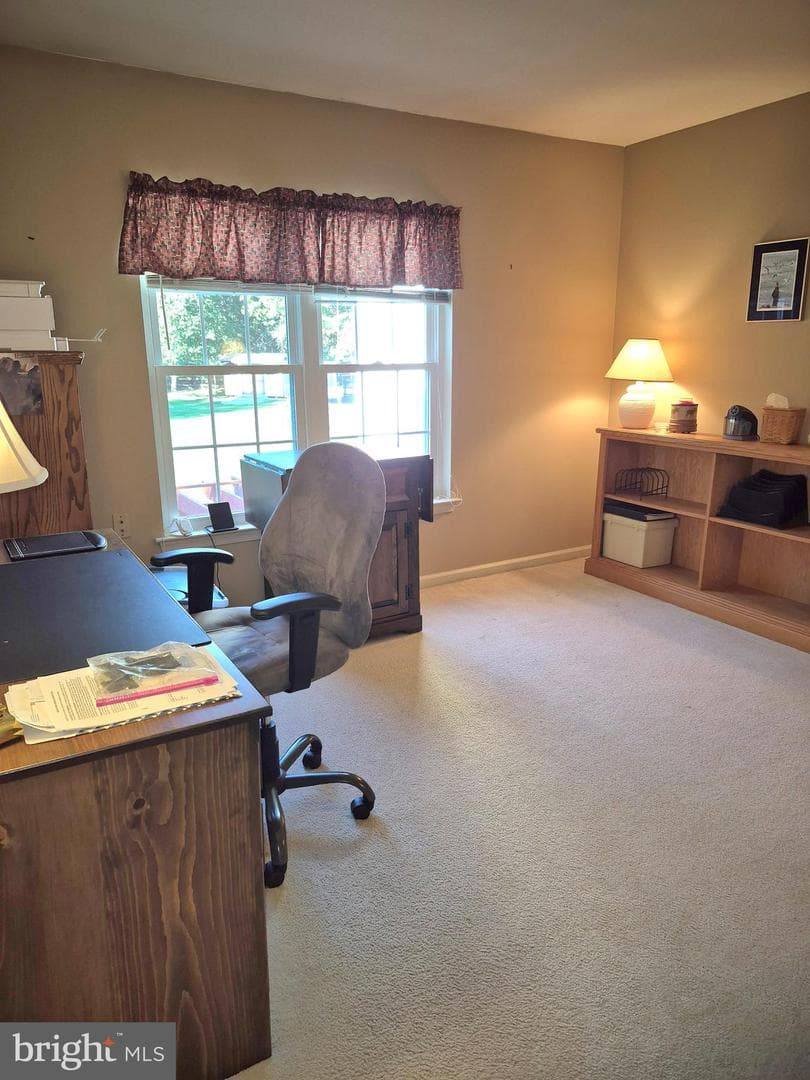 44 Morningmist Lane photo 21