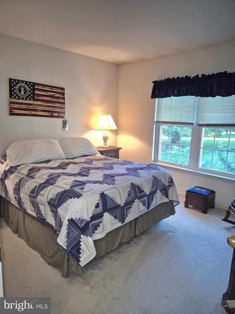 44 Morningmist Lane photo 22