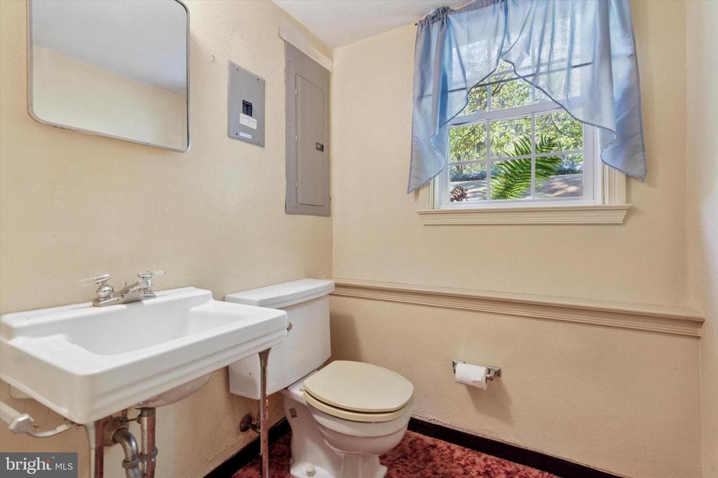 306 Devonshire Road photo 18