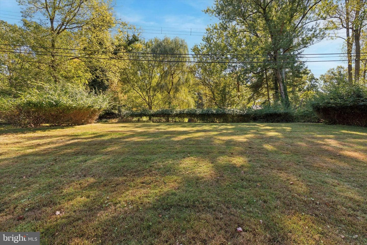 306 Devonshire Road photo 20