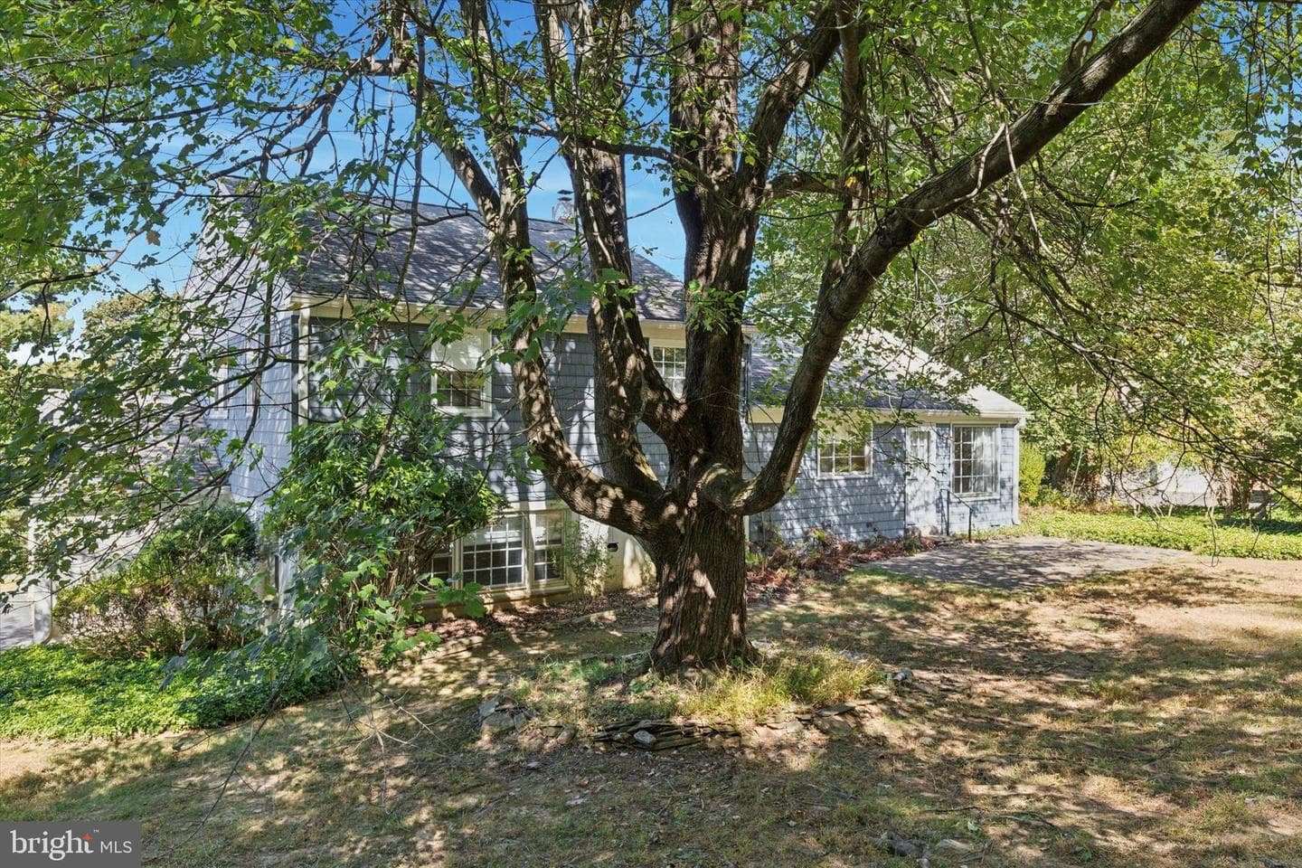 306 Devonshire Road photo 21