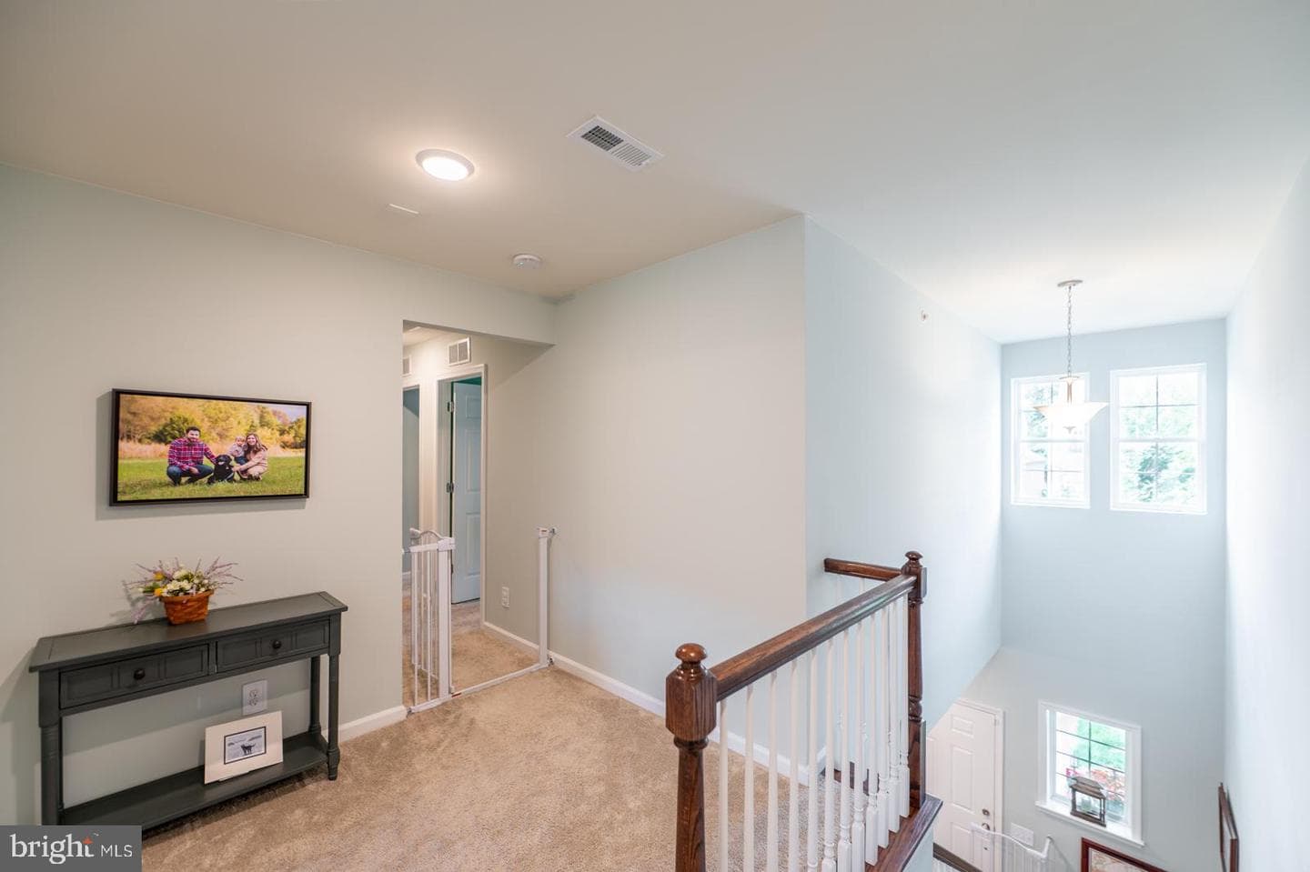 741 Sun Valley Court photo 53