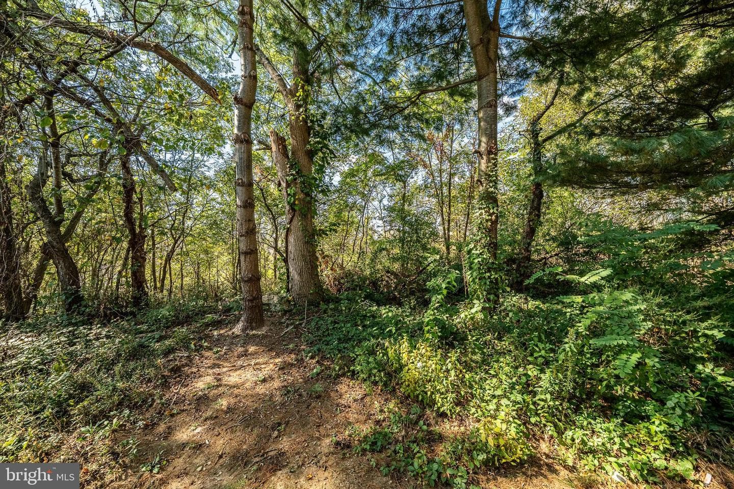 408 Green Hill Road photo 30