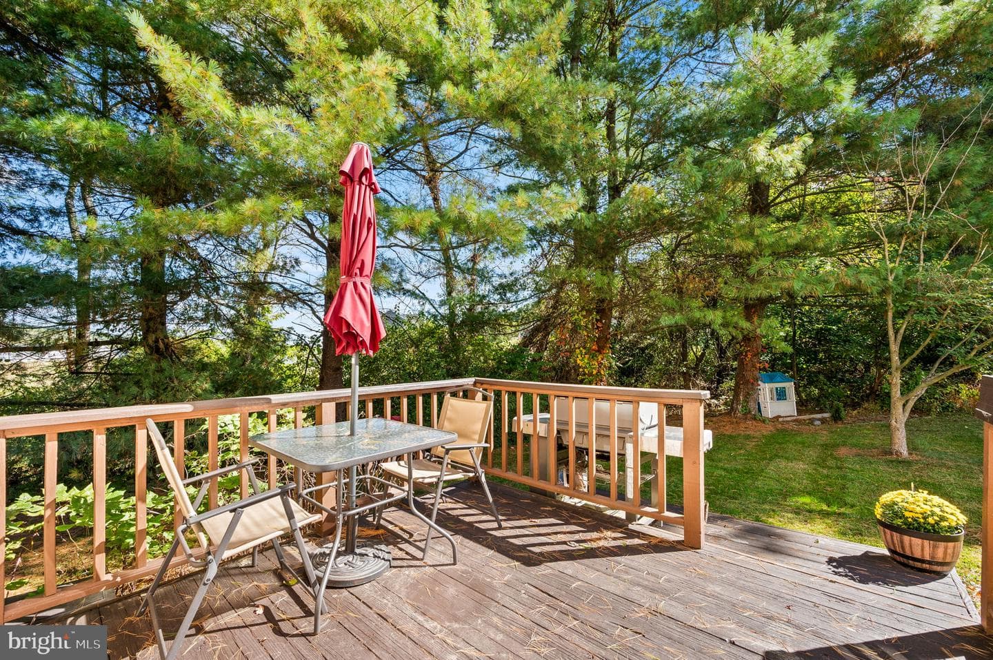 10 Cynthia Road #101 photo 29