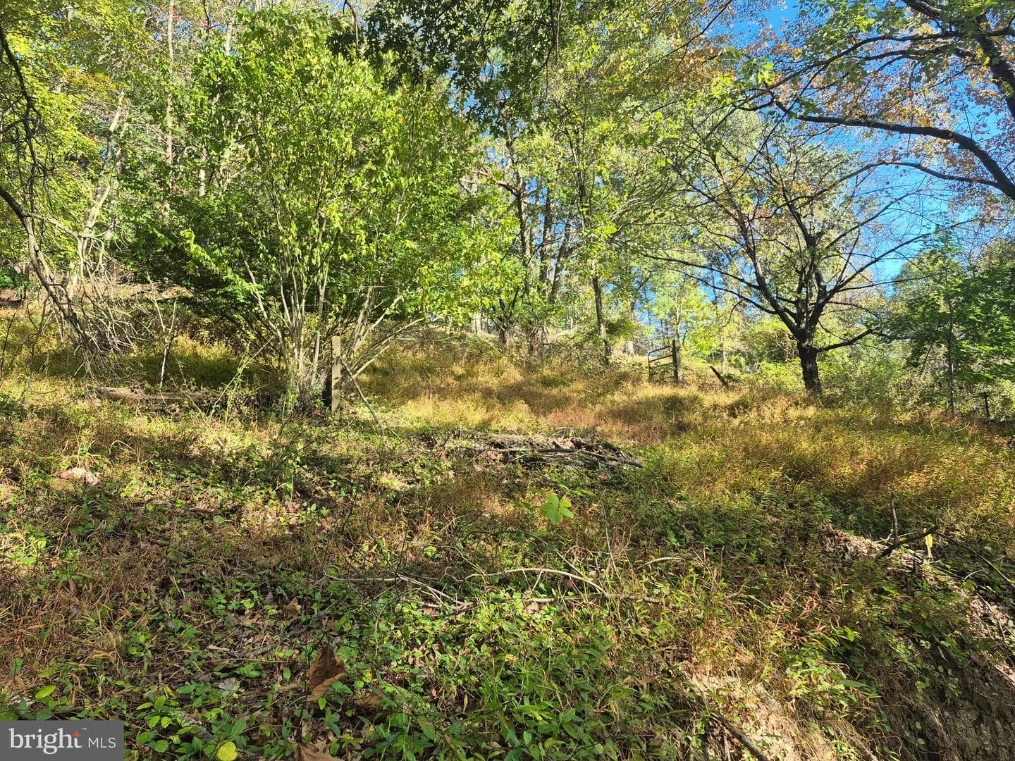 1 Mortonville Road photo 21