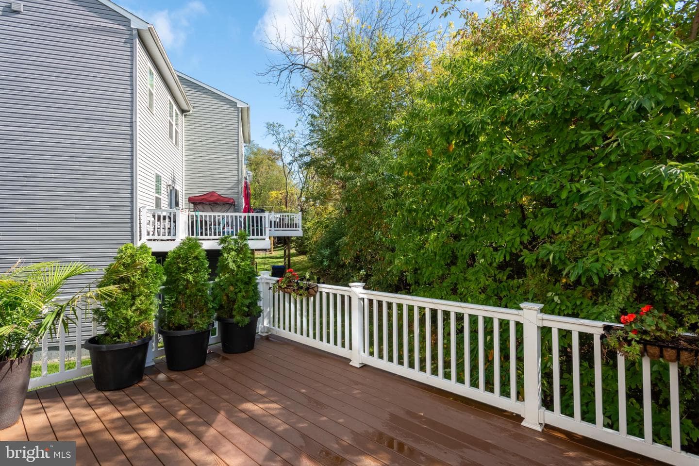 150 Mulberry Drive photo 36