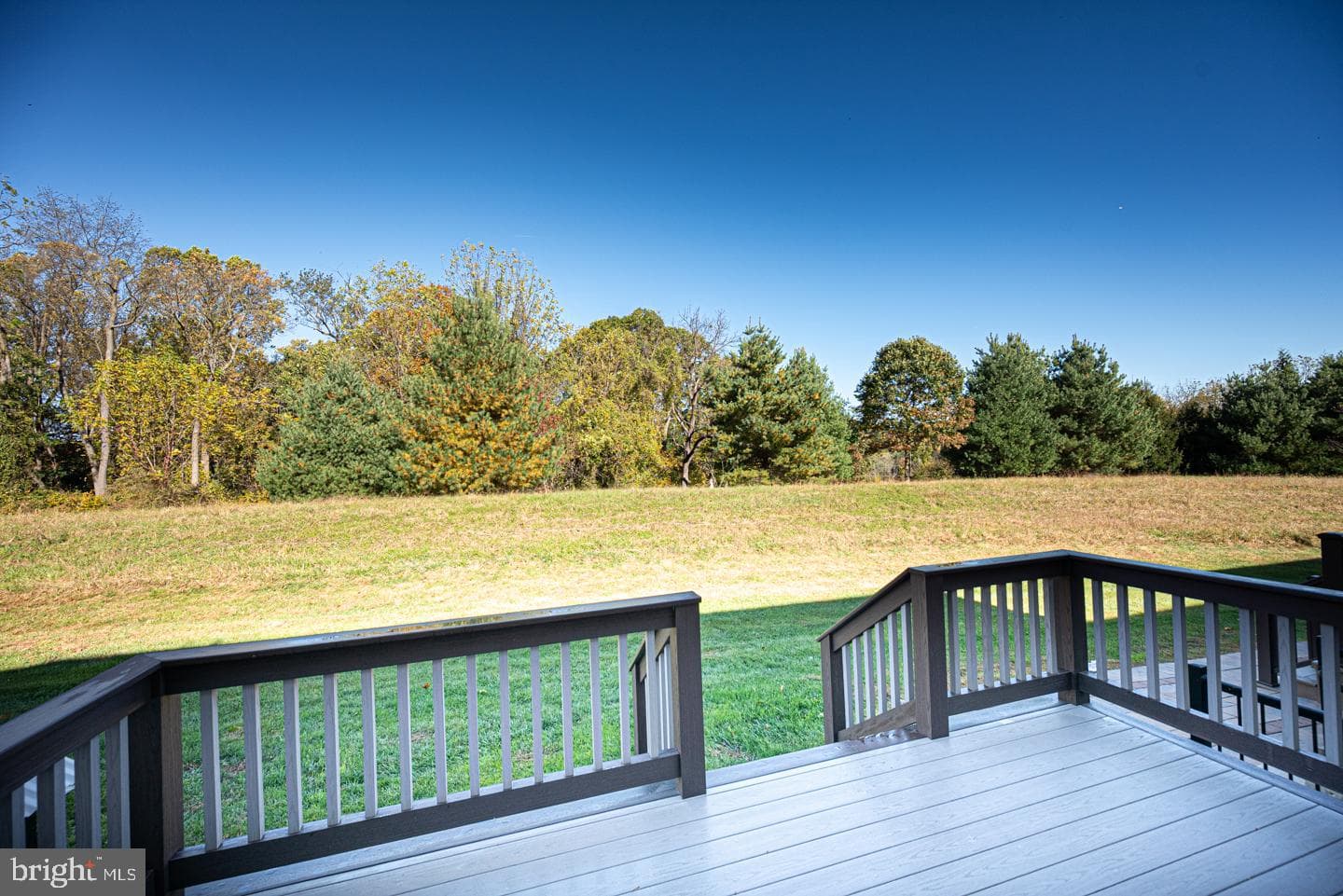 181 Penns Manor Drive photo 18