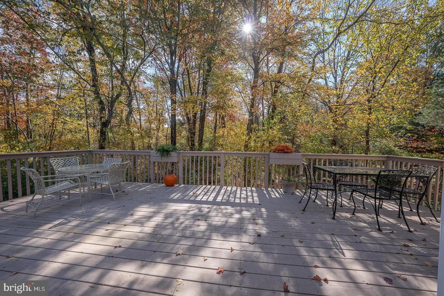 206 Yorktown Place photo 32