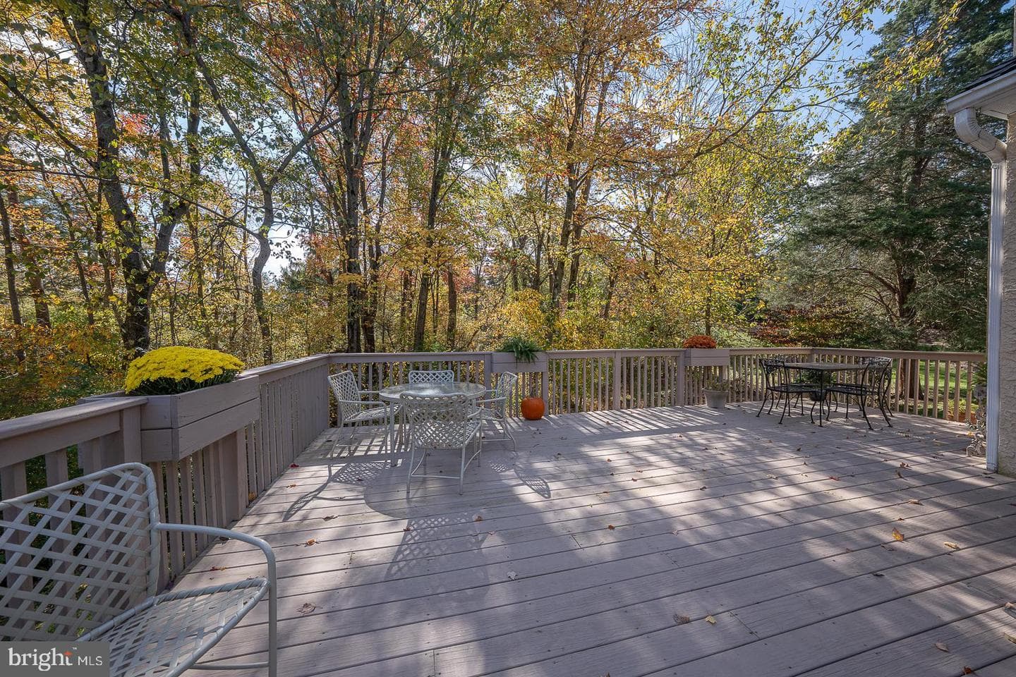 206 Yorktown Place photo 33
