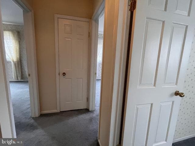 113 Harvest Lane #101 photo 41