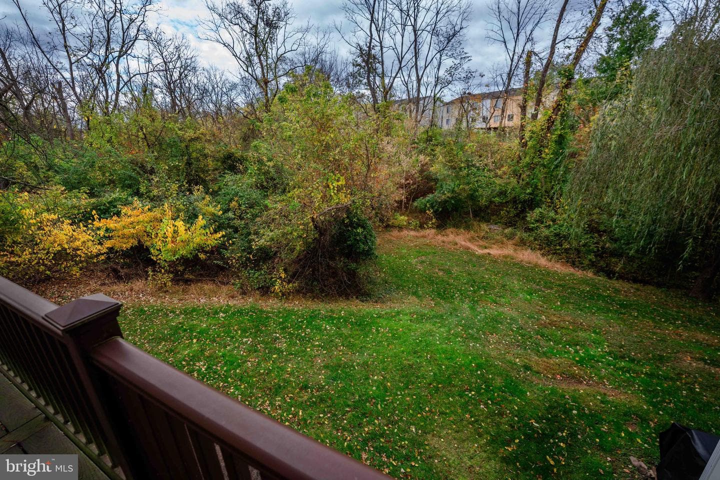 113 Harvest Lane #101 photo 5