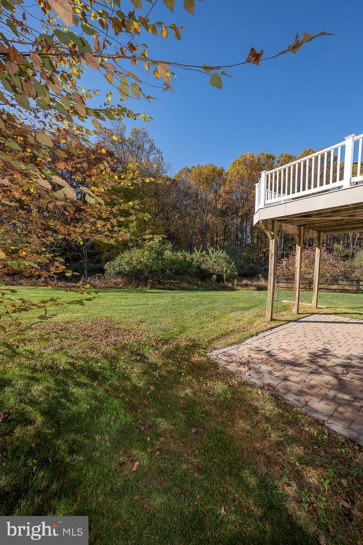 347 Astilbe Drive photo 12