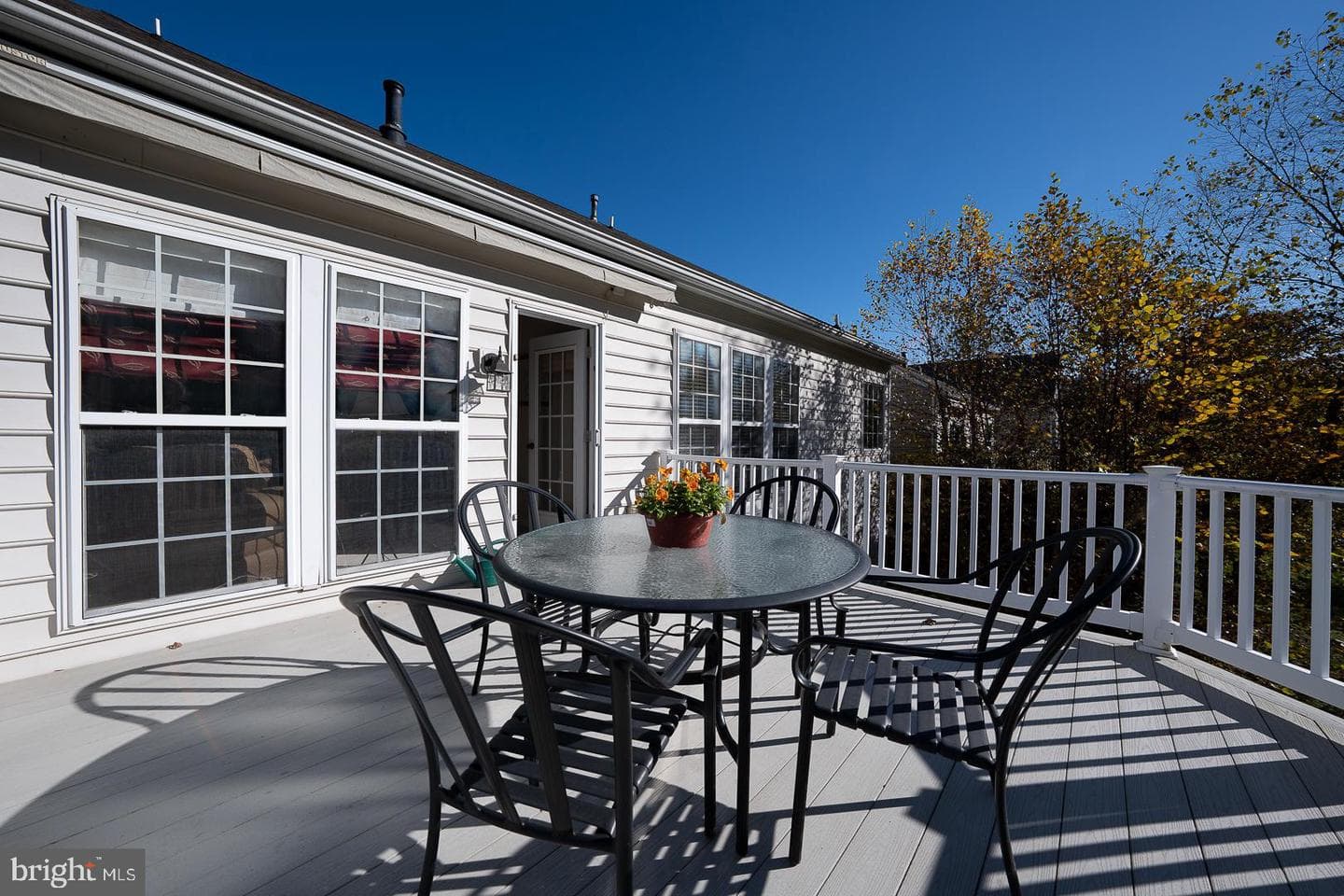 347 Astilbe Drive photo 30