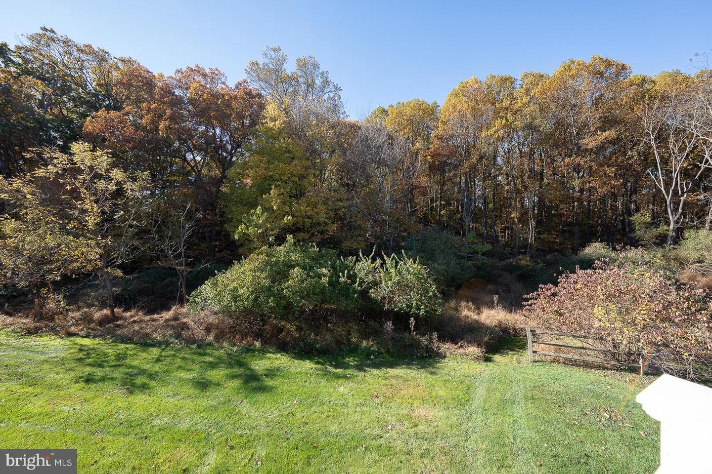 347 Astilbe Drive photo 31