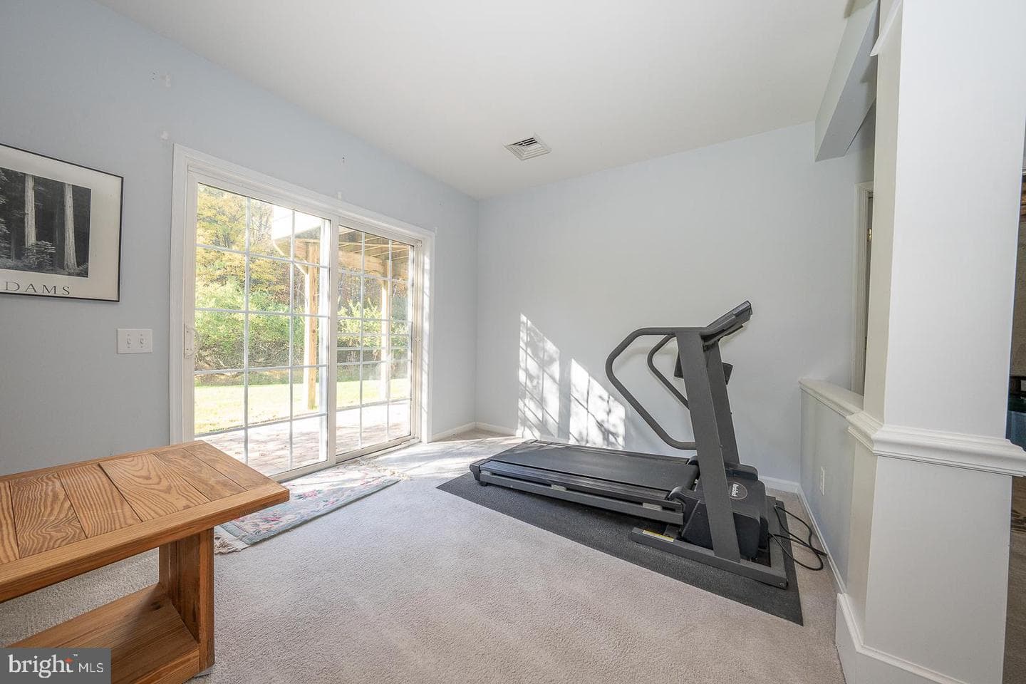 347 Astilbe Drive photo 45