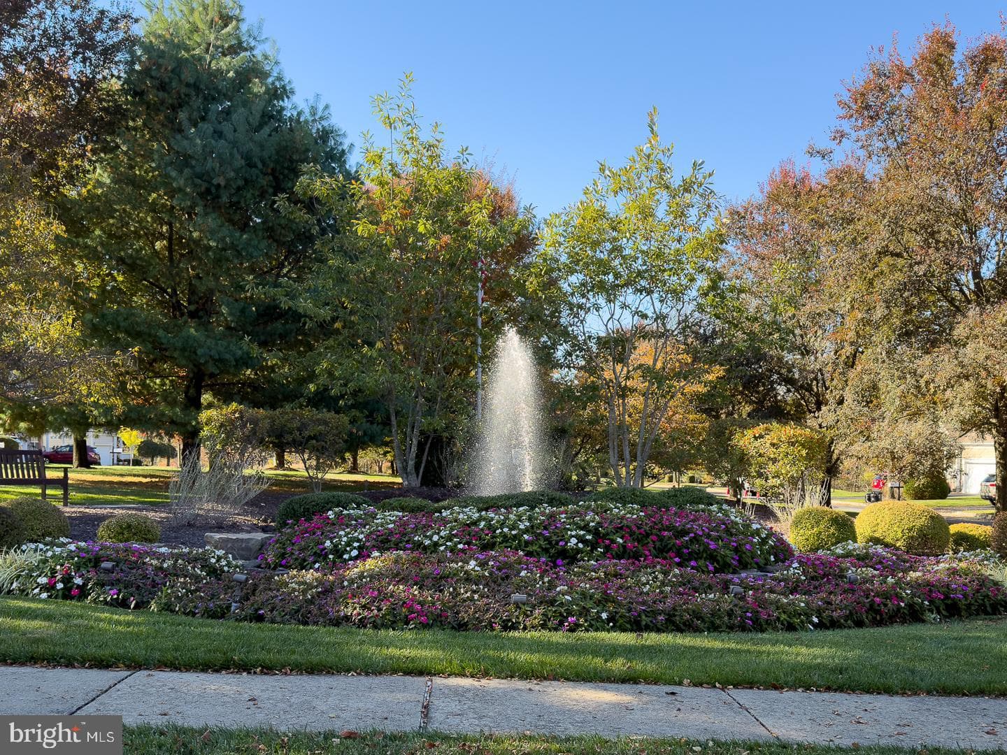 347 Astilbe Drive photo 61