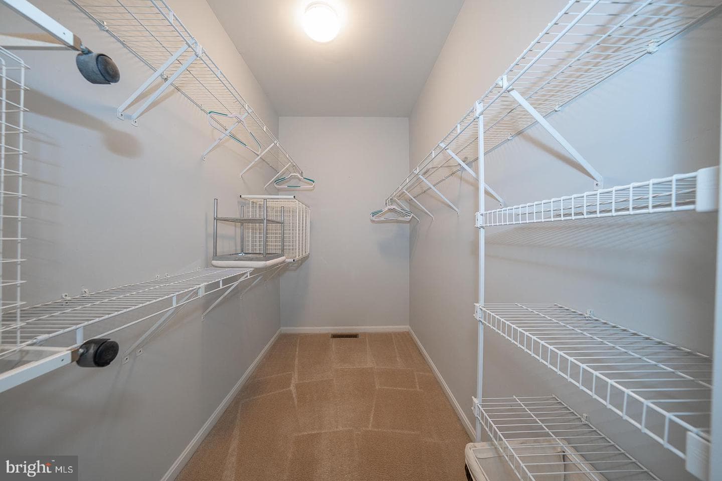 347 Astilbe Drive photo 70
