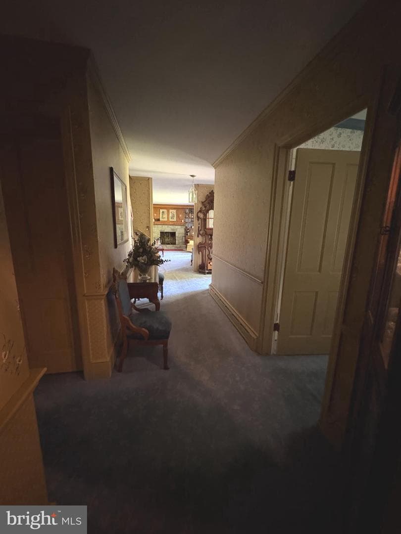 4 Woods Lane photo 15
