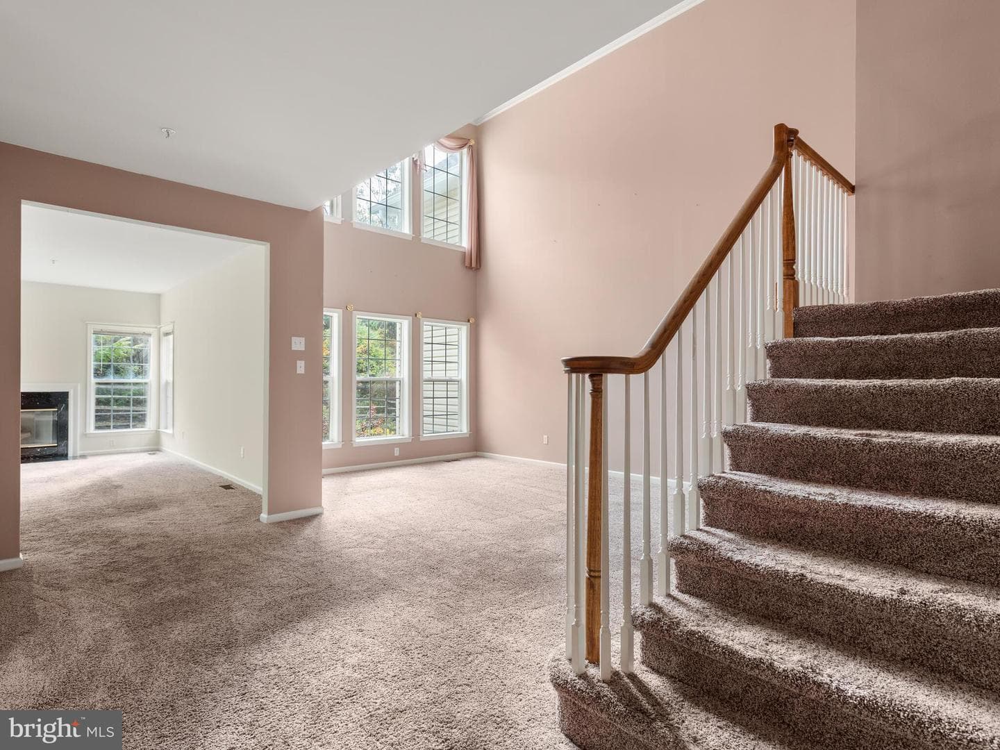 214 Silverbell Court photo 11