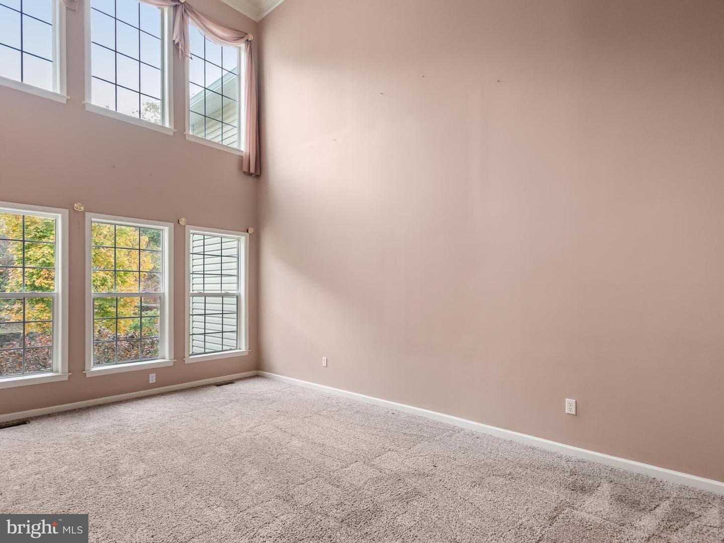 214 Silverbell Court photo 15