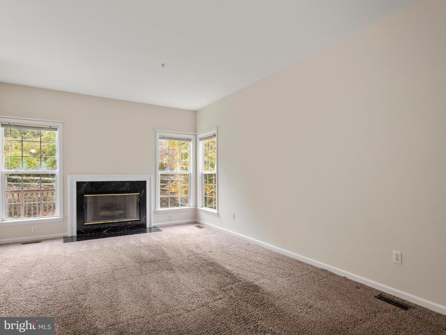214 Silverbell Court photo 18