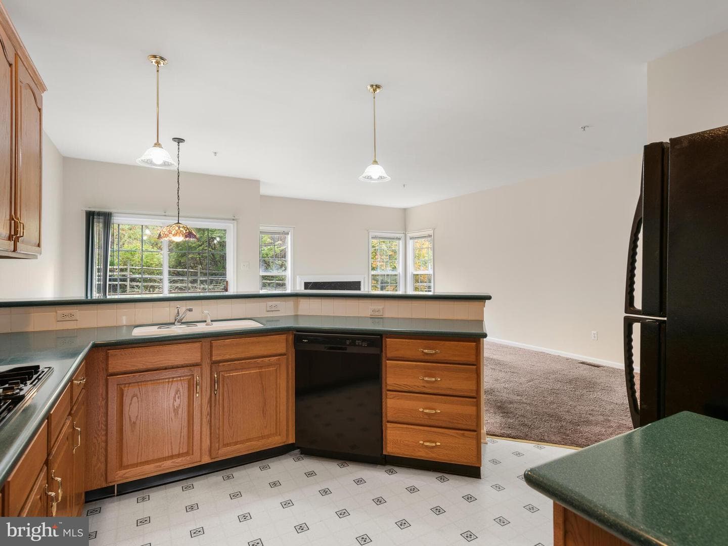 214 Silverbell Court photo 22