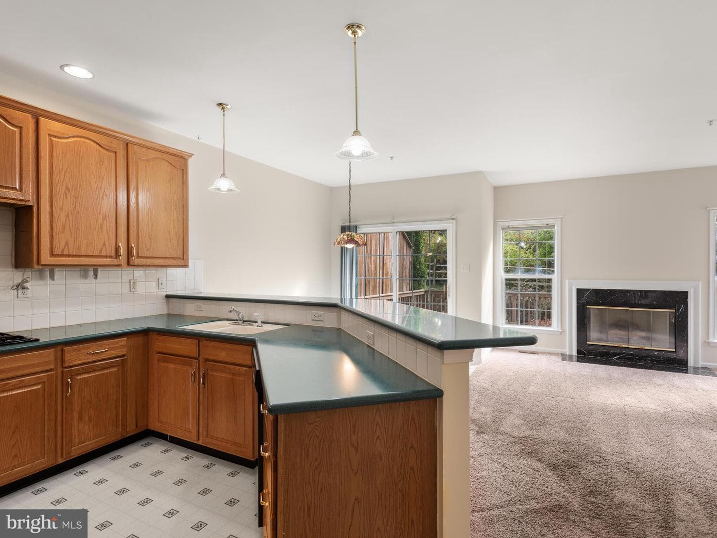 214 Silverbell Court photo 23