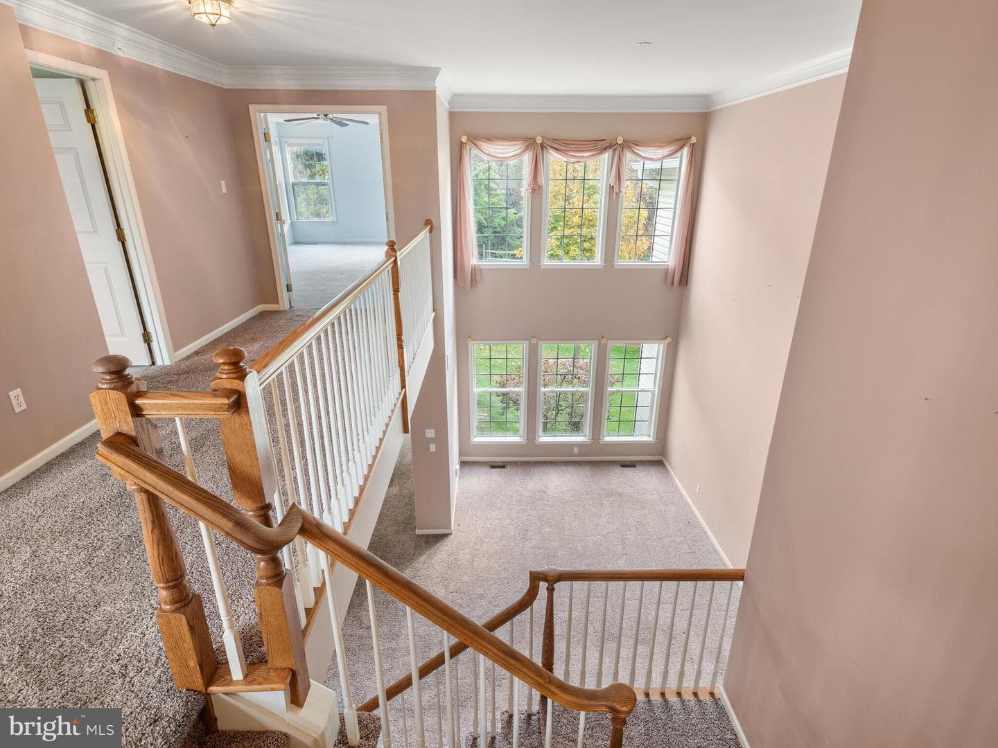 214 Silverbell Court photo 25