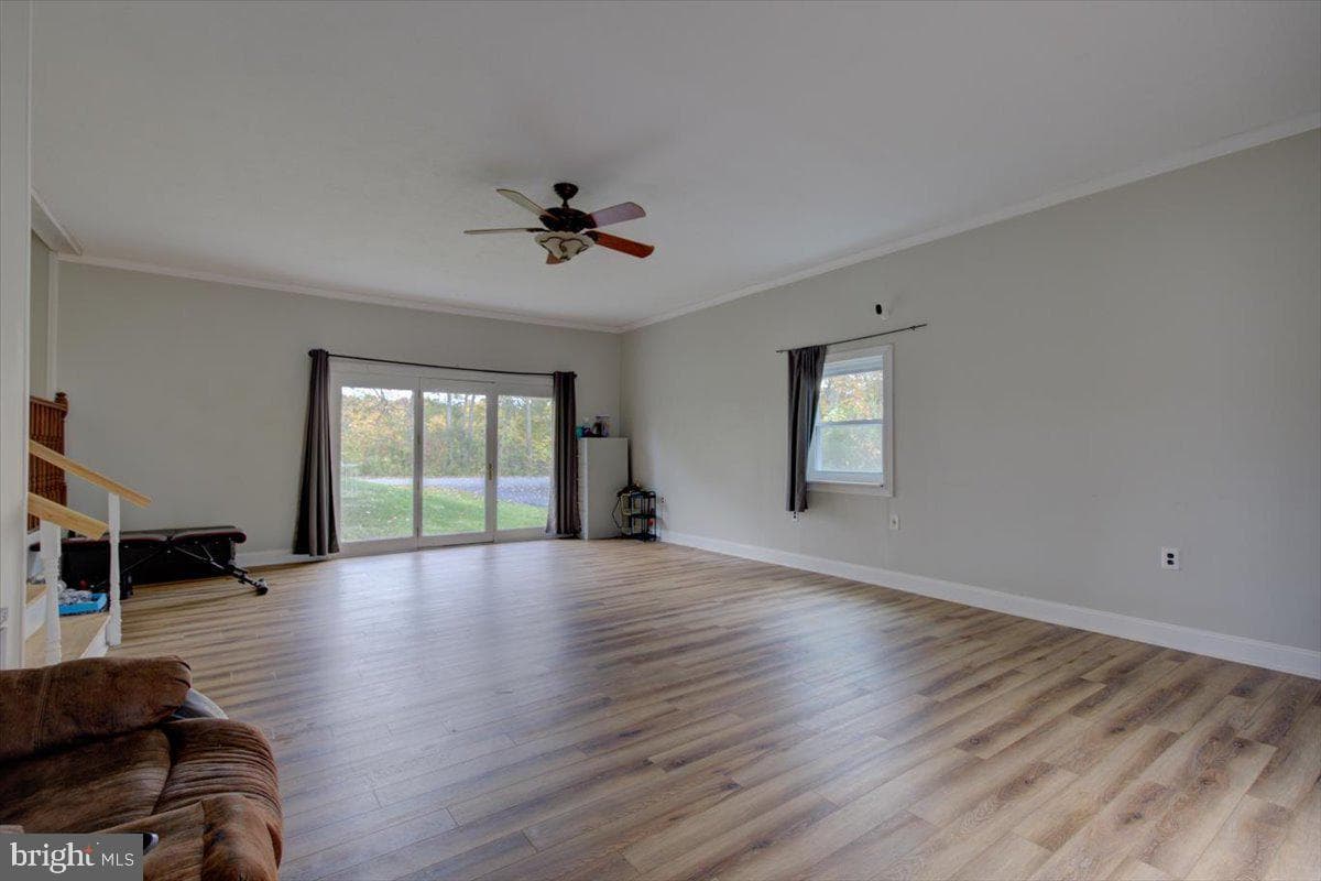 297 Killian Road photo 16