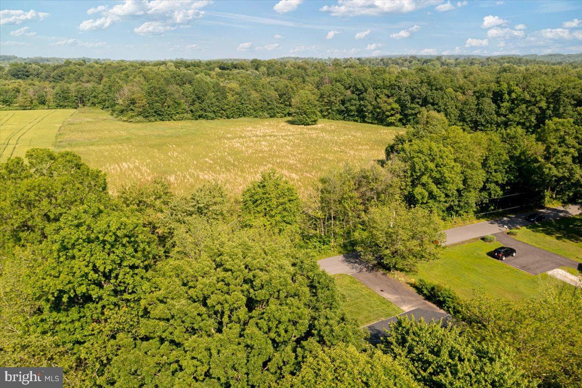 297 Killian Road photo 38