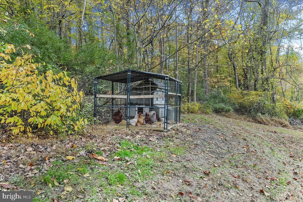 132 Hess Mill Road photo 5