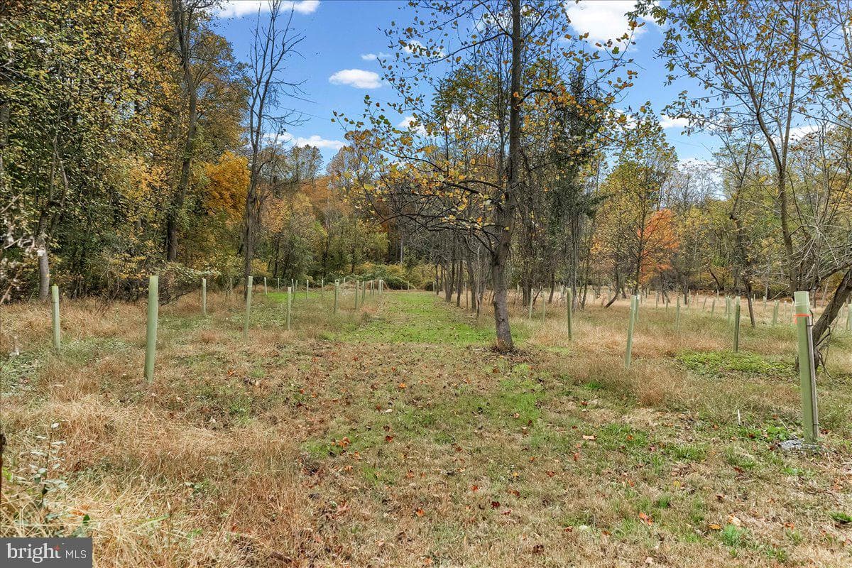 132 Hess Mill Road photo 60