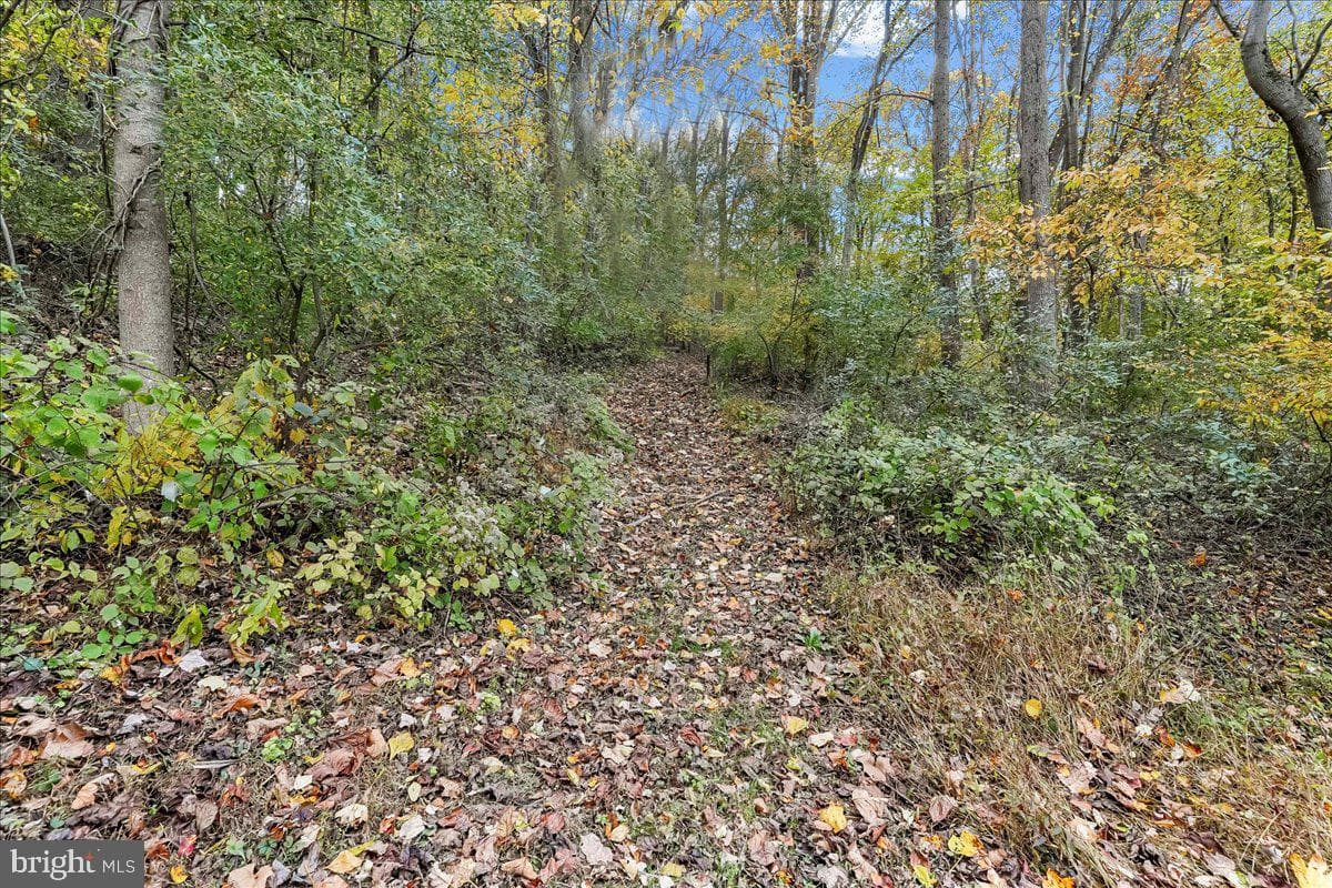 132 Hess Mill Road photo 61
