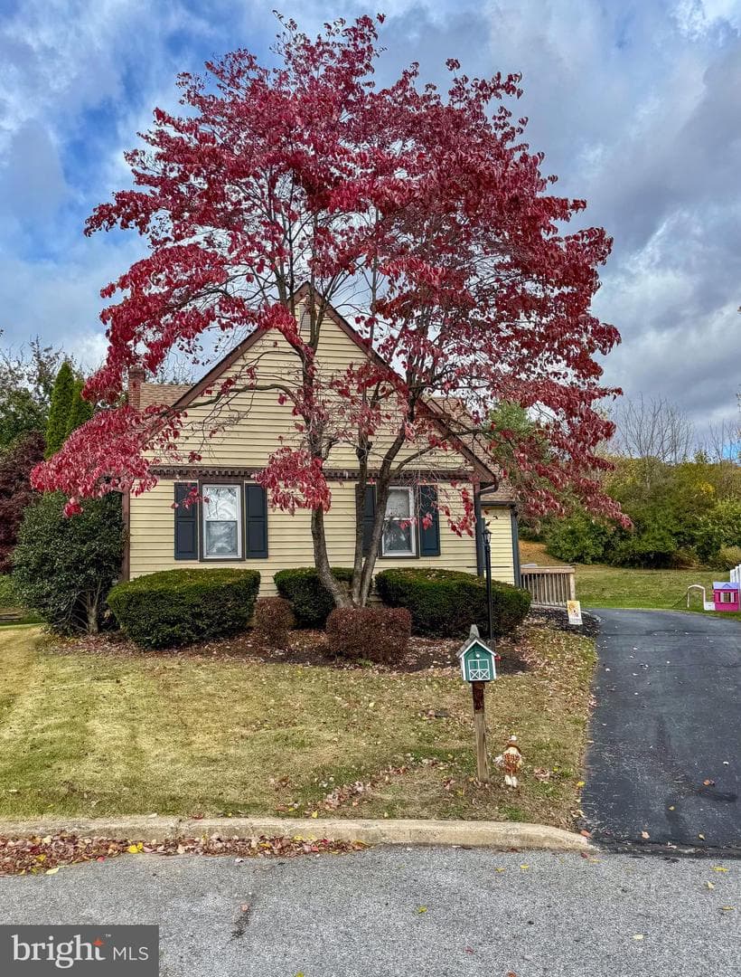 214 Armstead Court photo 28