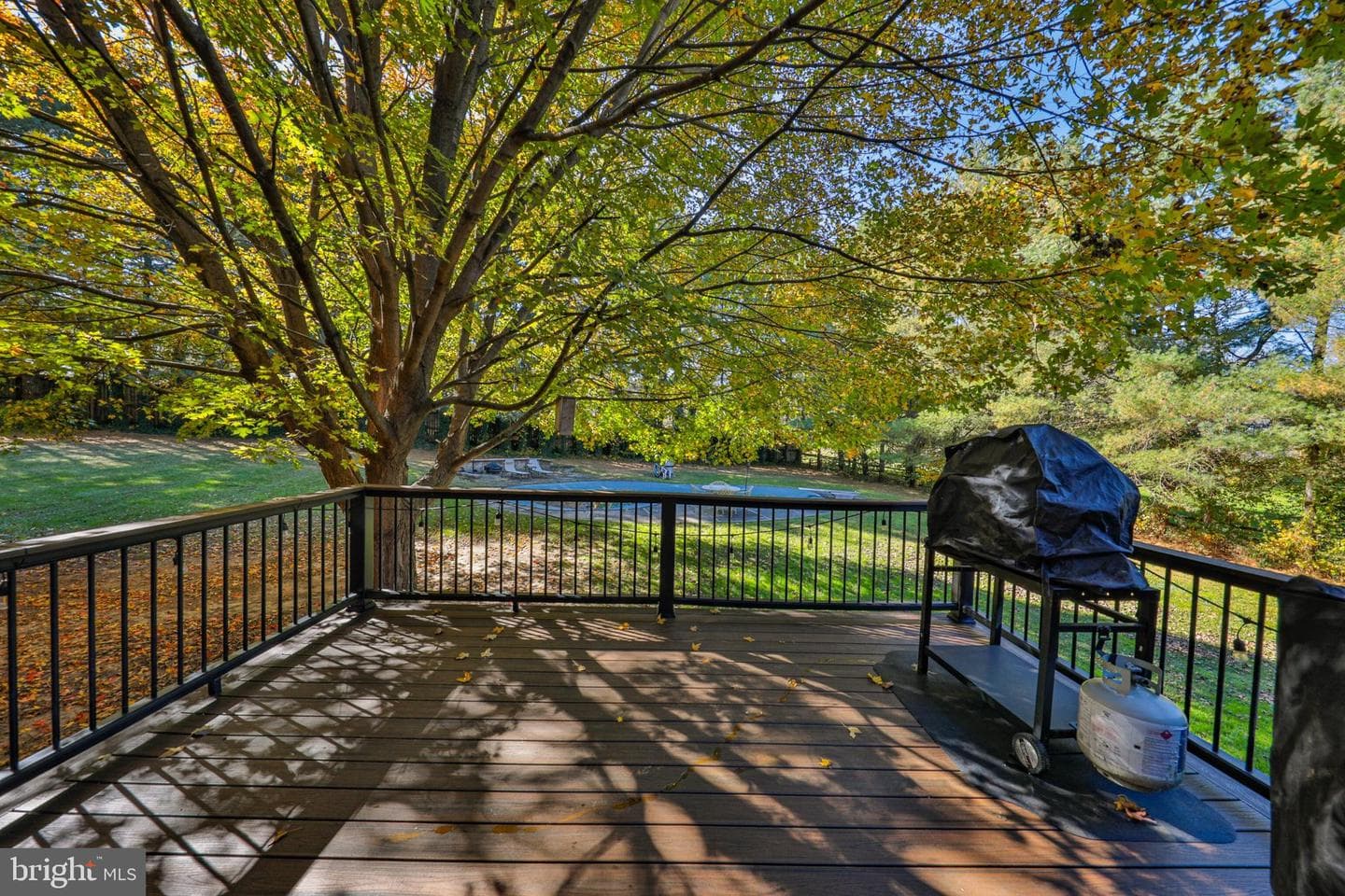 33 Woodland Drive photo 63