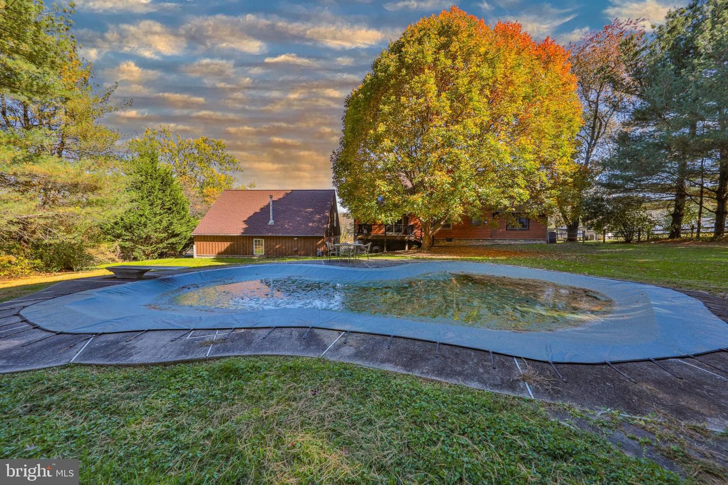 33 Woodland Drive photo 68