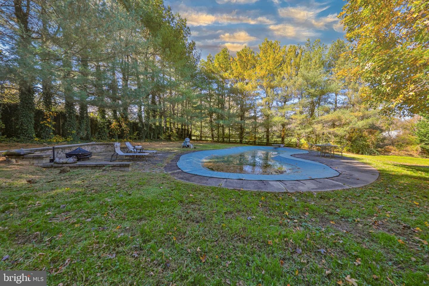33 Woodland Drive photo 69
