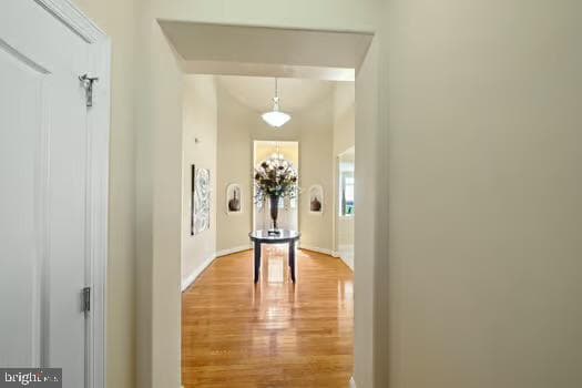 254 Hendrickson Lane photo 24