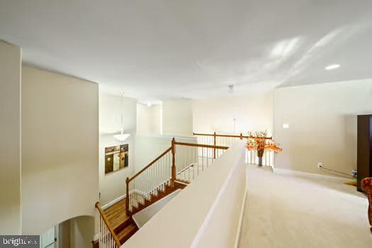 254 Hendrickson Lane photo 39