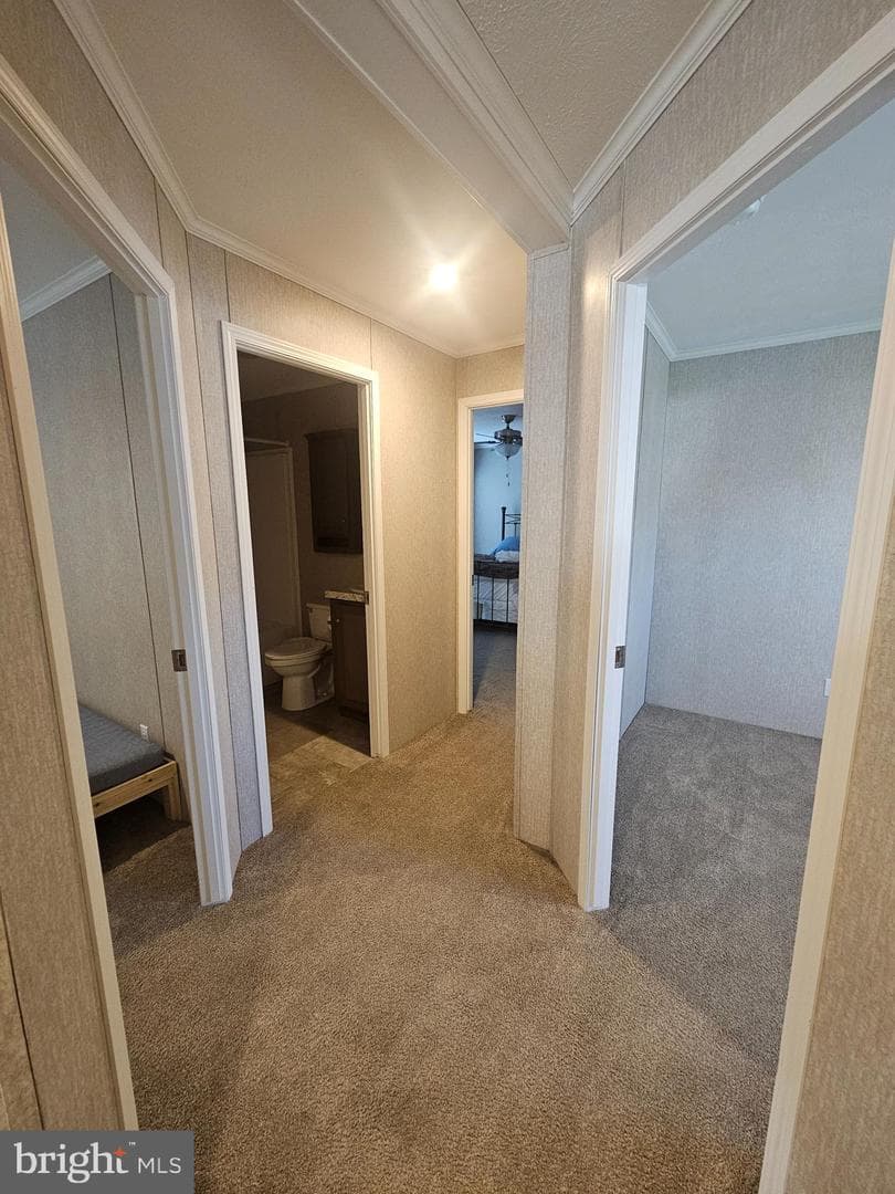 98 Erica Circle photo 13