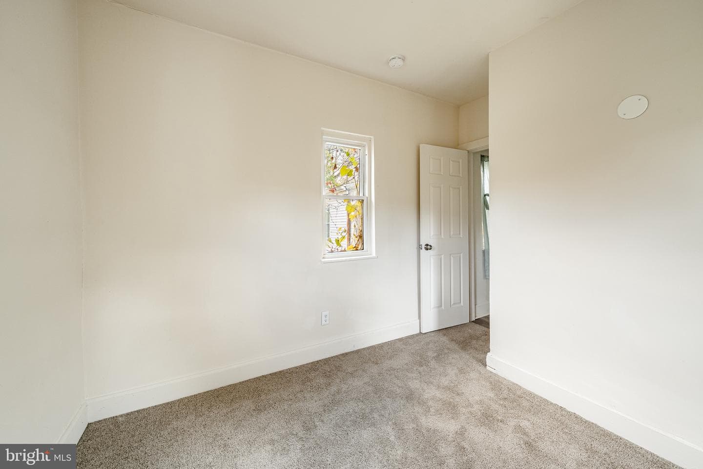 40 Beech Street photo 17