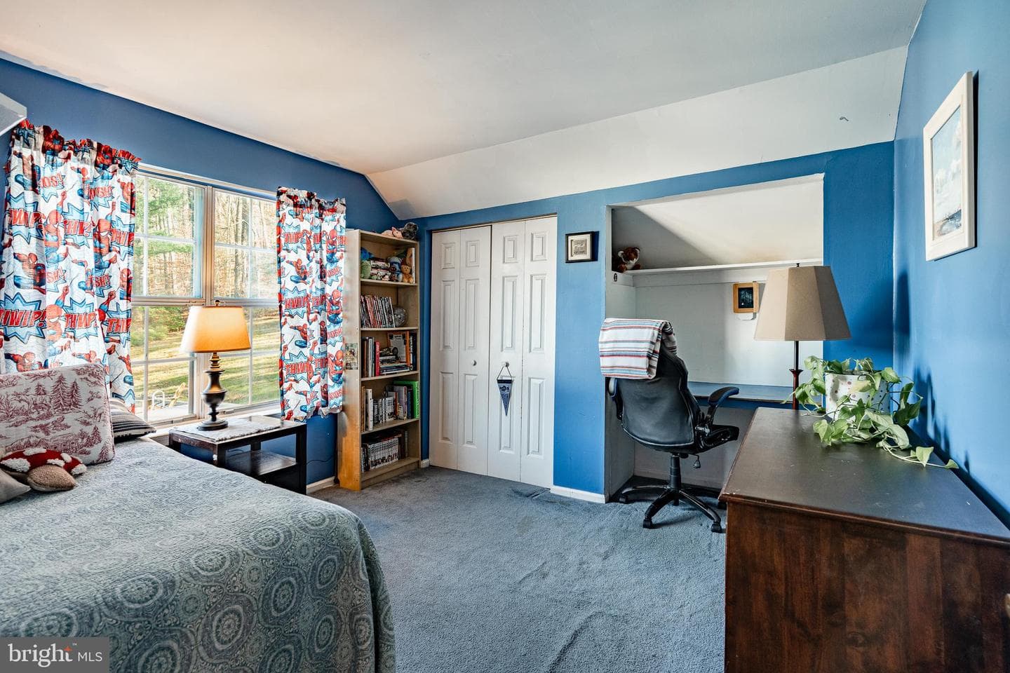 48 Sheffield Lane photo 32