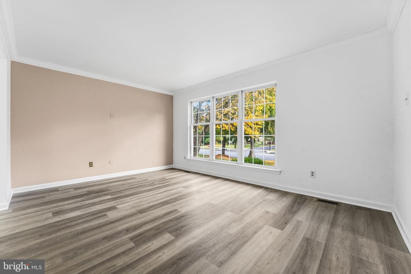 120 Ashley Road photo 28