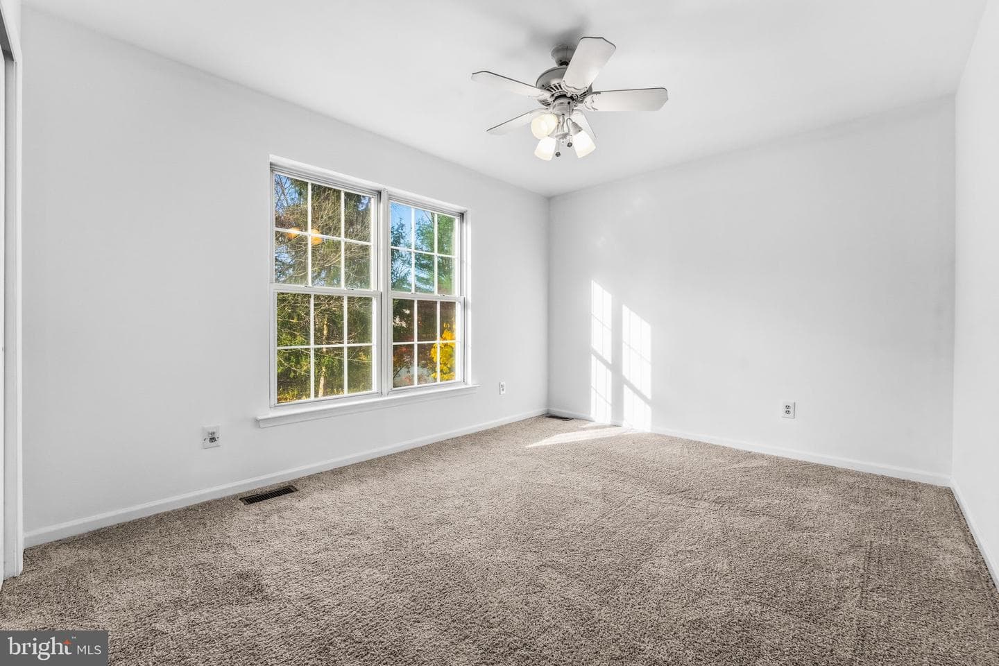 120 Ashley Road photo 39