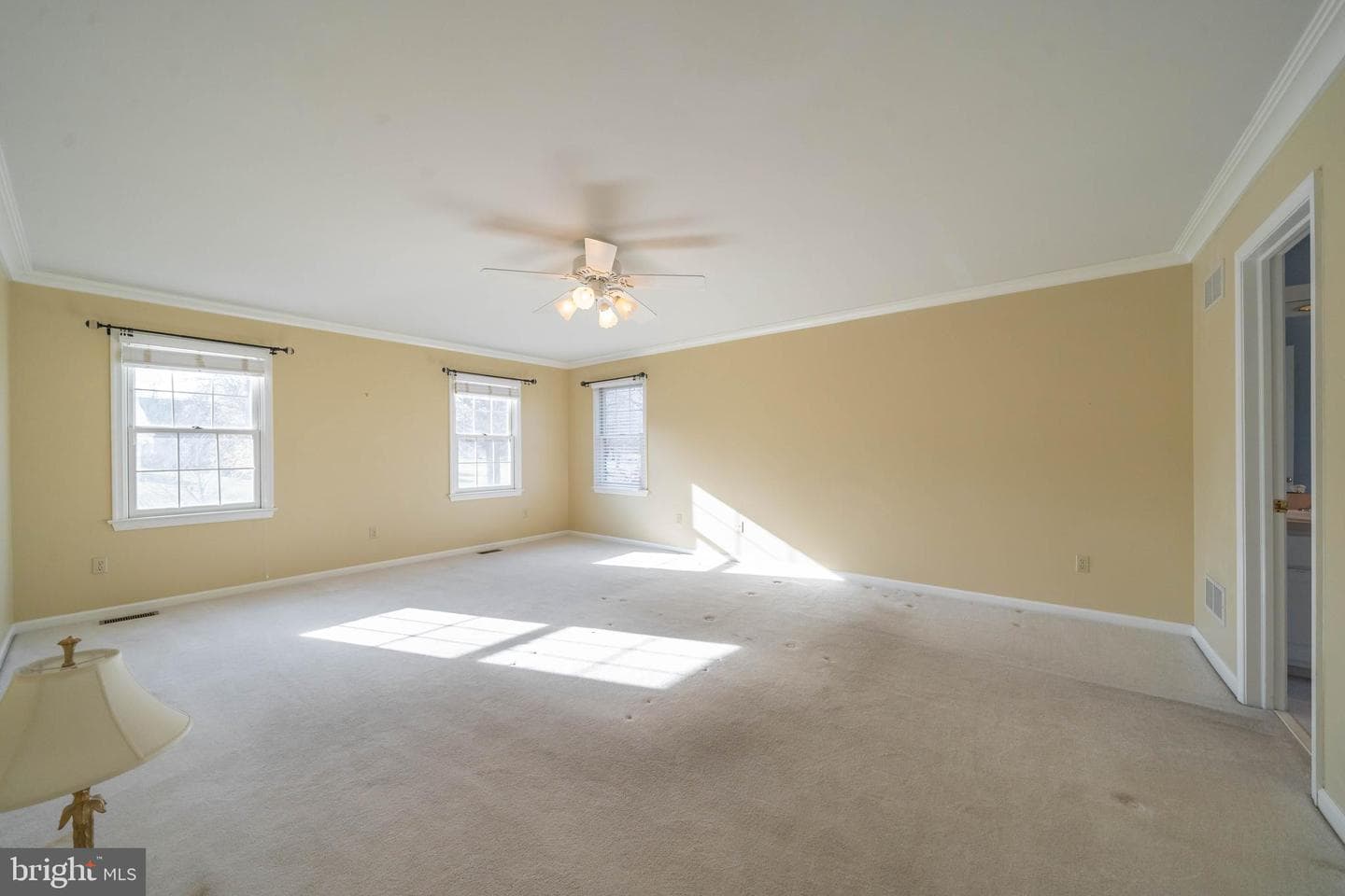 217 Kirkbrae Road photo 28