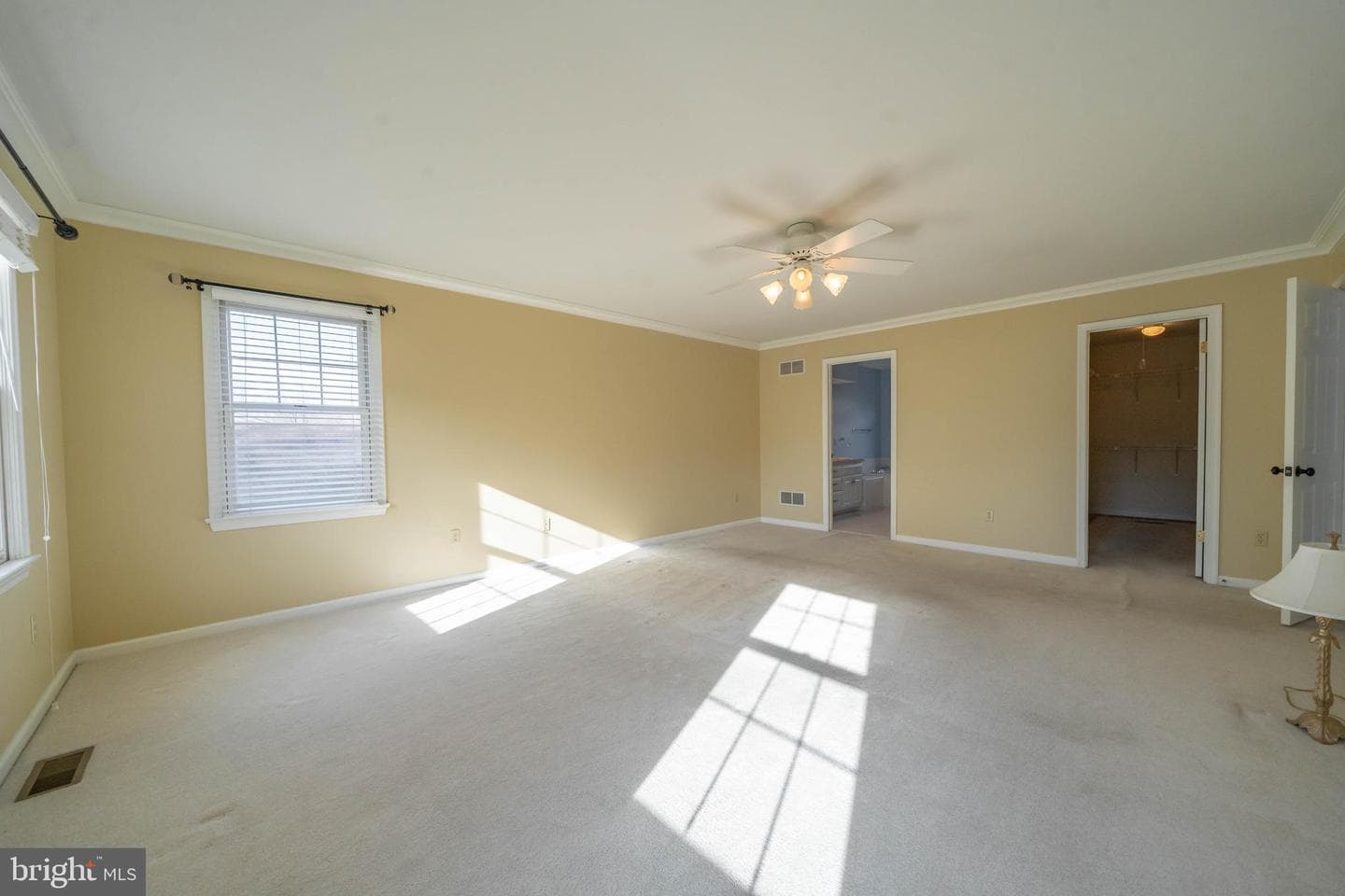 217 Kirkbrae Road photo 29
