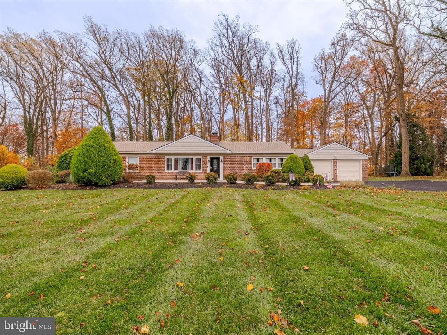 705 Potter Drive photo 2